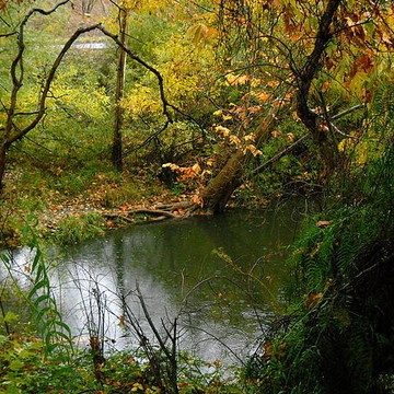 Los Gatos Creek
