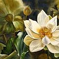 Lotus And Waterlily Paintings