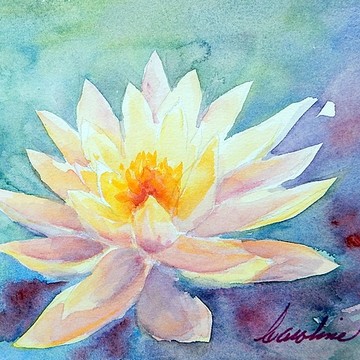 Lotus Awakening