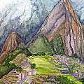 Machu Picchu and Galapagos Paintings