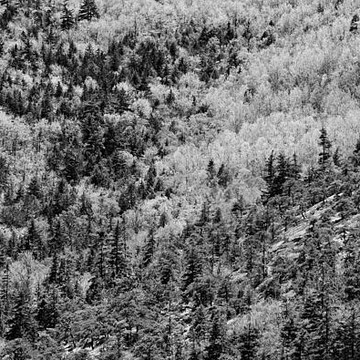 Maine Black and White Landscapes
