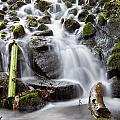 Marlay Park Waterfalls