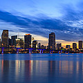 Miami Skylines