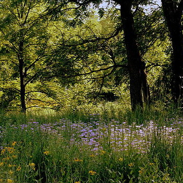 Morton Arboretum Summer landscapes