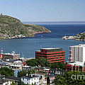 Newfoundland Canada