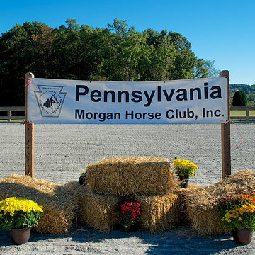 PA Morgan Horse Club Fun Show