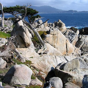 Pacific Grove and Pebble Beach