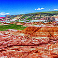 Painted Desert and Petrified Forest National Park