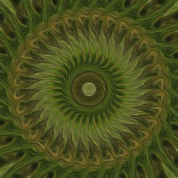 Painted Kaleidoscope Series