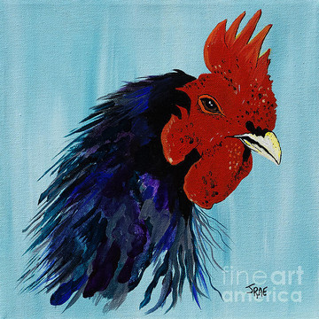 Paintings and Photographs of Roosters and Chickens