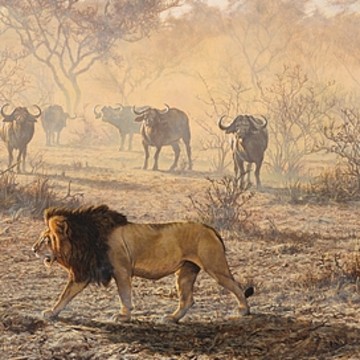 Paintings of Lions