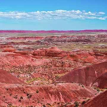Petrified Forest Nation Park and the Painted Desert