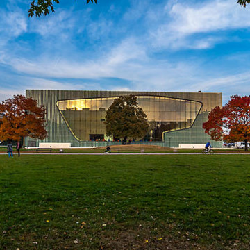 Polin and the Museum of History of Polish Jews