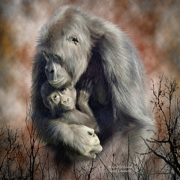 Primates - Spirit Of The Wild