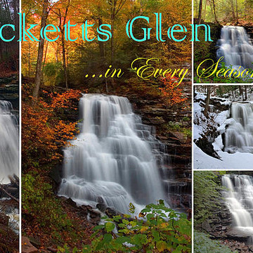 Ricketts Glen ...In Every Season  -  Photo Collage Collection