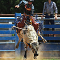 Rodeo in NC
