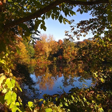 Scenic Fall Foliage at Pond
