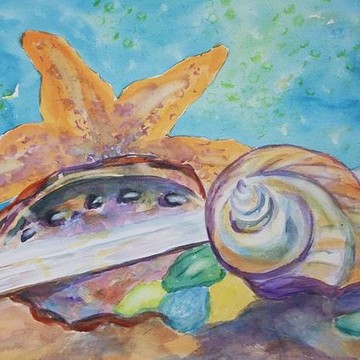 Sea shells and sea life
