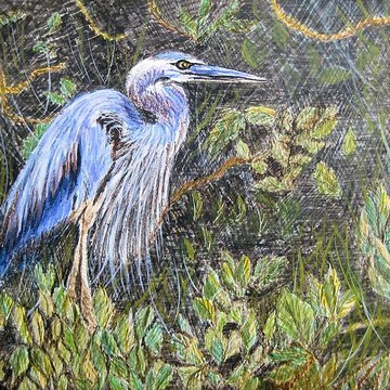 Seabirds Paintings and Photos