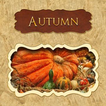 Season - Autumn