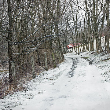Season - Winter Images