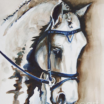 Series of Horse Paintings- original art
