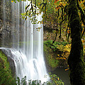Silver Falls State Park In Oregon