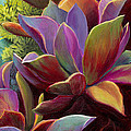 Succulents and other floras