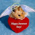 Sweetest Day Greeting Cards