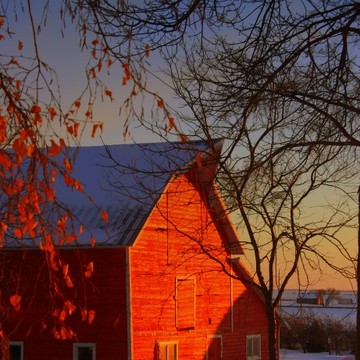 The Beauty of Barns