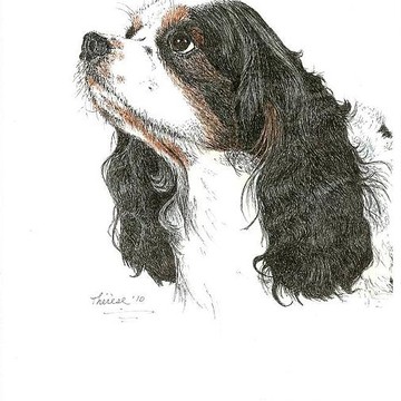 Therese A. Kraemers'   Children & Pet Sketch Gallery