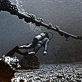 Underwater Photographs