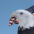 United States Patriotic