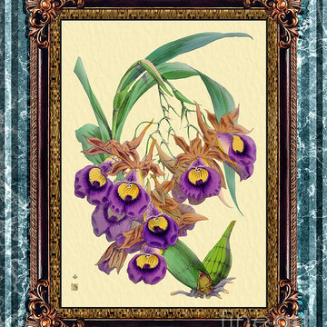 Vintage Orchid Antique Design Marble Part 1