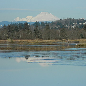 Washington State Landscapes