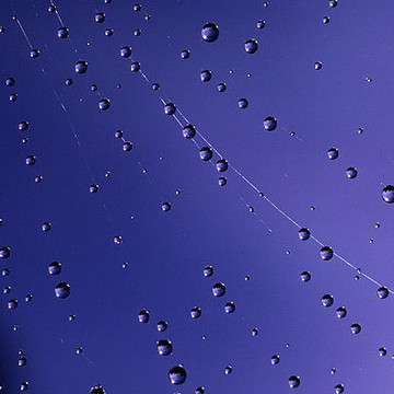 Drops - Rain - Reflections. Patterns. Water.