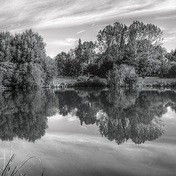Water Reflections in B & W