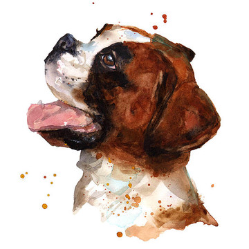 Watercolor Dog Paintings
