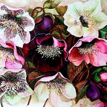 Watercolor  Floral  Paintings