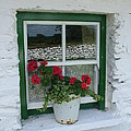Windows of Ireland