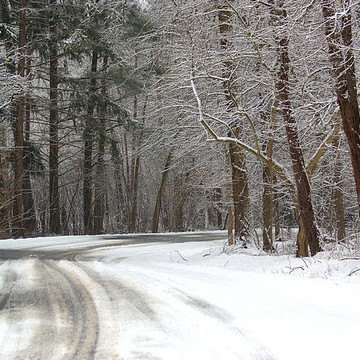 Winter in Mill Creek Park