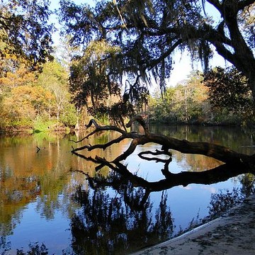 Withlacoochee River