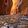 Zion Narrows At Zion National Park In Utah