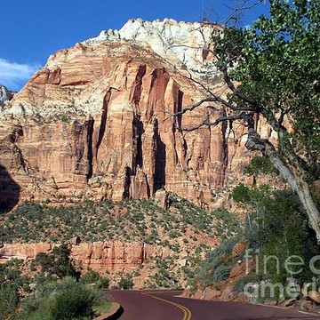 ZION National Park Photography