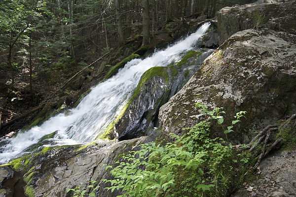 Rocks in Nature 3 - Pillows