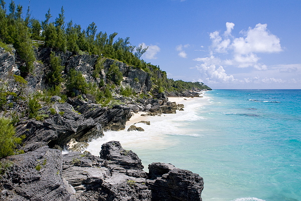 Bermuda Beach by John Greim