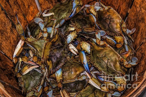 Bushel Basket Of Blue Crabs #1 Yoga Mat by Paulette Thomas - Fine Art  America