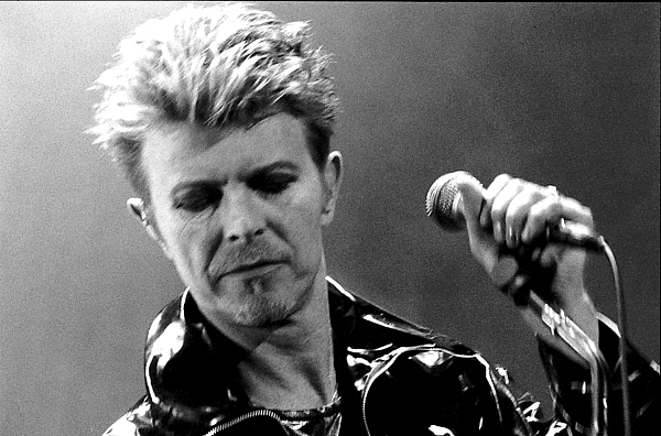 Wayne Doyle - David Bowie