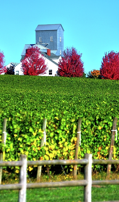 Fall Photographs