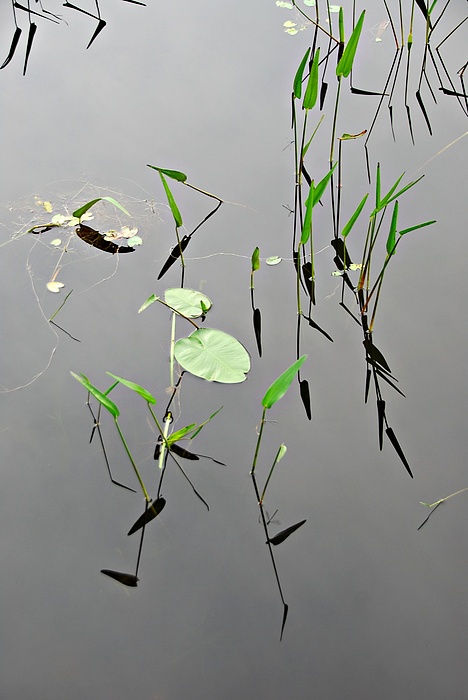 Water Art